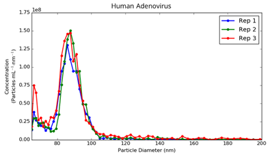 human adenovirus