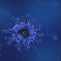 virus nanoparticles